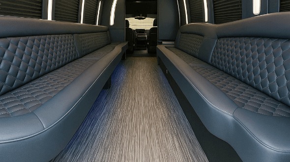 chandler 20 passenger party bus interior