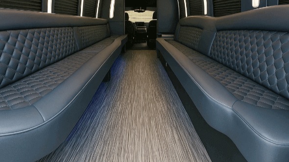 chandler 28 passenger party bus rental